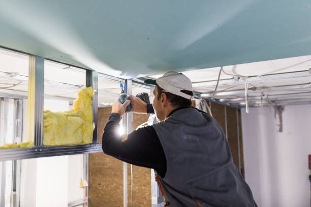 Best Insulation for Commercial Buildings  in West Ack, NY