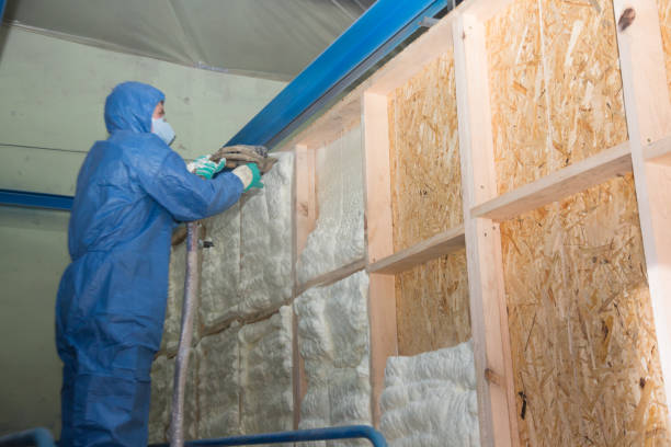 Best Spray Foam Insulation  in West Ack, NY