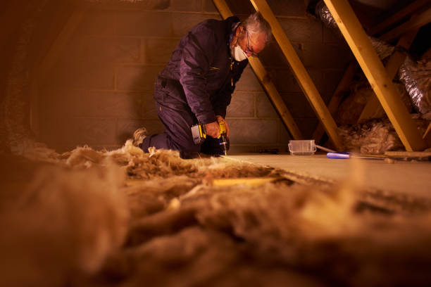 Best Local Insulation Services  in West Ack, NY